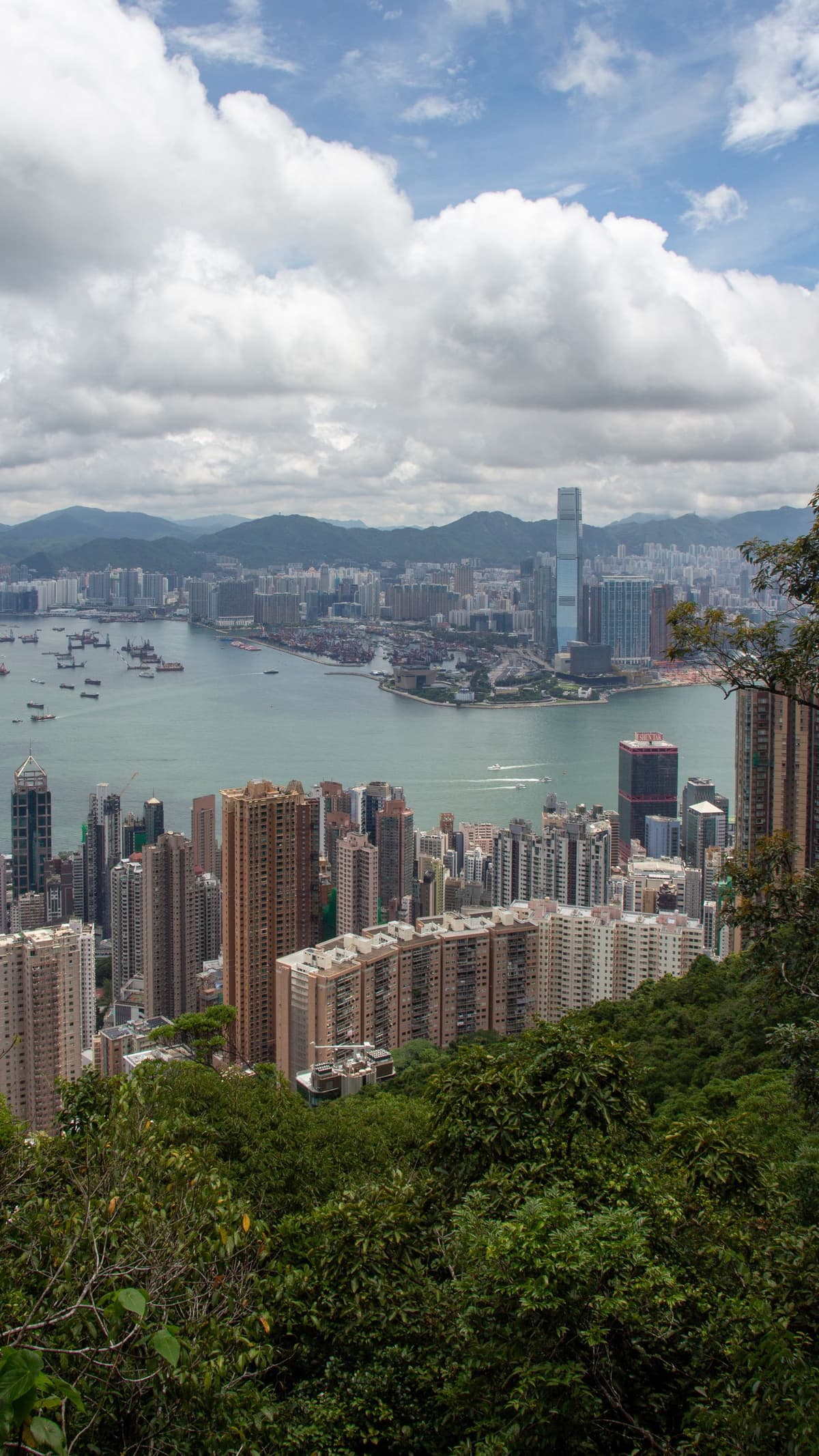 Vue de Hong Kong depuis le Peak