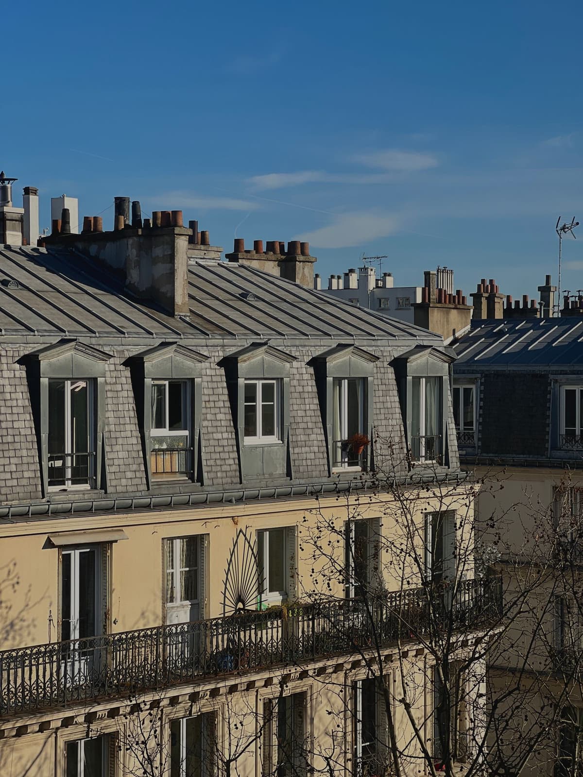 Immeubles haussmanniens à Paris